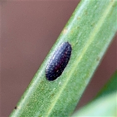 Unverified at suppressed - suppressed