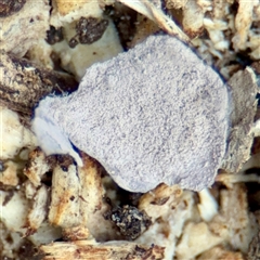 Unverified at suppressed - suppressed