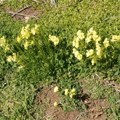 Unverified at suppressed - suppressed