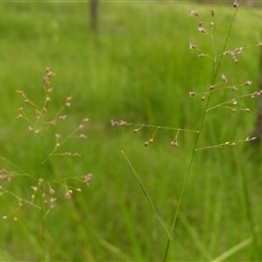 Unverified at suppressed - suppressed