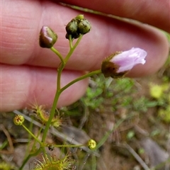 Unverified at suppressed - suppressed