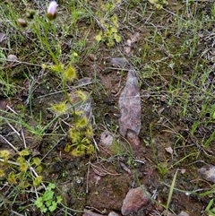 Unverified at suppressed - suppressed