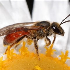 Unverified at suppressed - suppressed