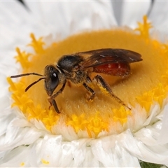 Unverified at suppressed - suppressed