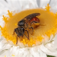 Unverified at suppressed - suppressed