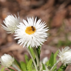 Unverified at suppressed - suppressed