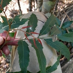 Unverified at suppressed - suppressed