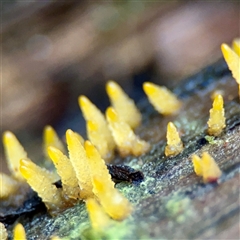 Unverified at suppressed - suppressed