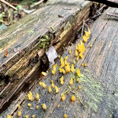 Unverified at suppressed - suppressed