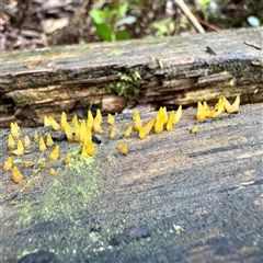 Unverified at suppressed - suppressed