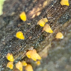 Unverified at suppressed - suppressed