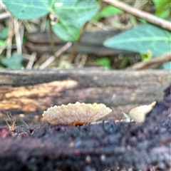 Unverified at suppressed - suppressed