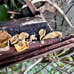 Unverified at suppressed - suppressed