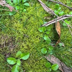 Unverified at suppressed - suppressed