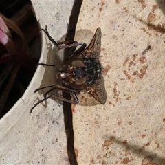 Unverified at suppressed - suppressed