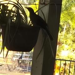 Unverified at suppressed - suppressed