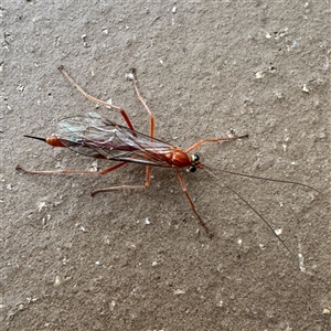 Unverified at suppressed - suppressed