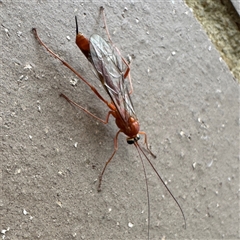 Unverified at suppressed - suppressed