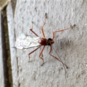 Unverified at suppressed - suppressed