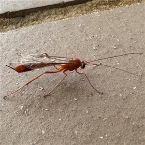 Unverified at suppressed - suppressed