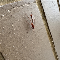 Unverified at suppressed - suppressed