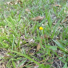 Unverified at suppressed - suppressed