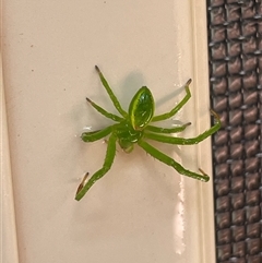 Unverified at suppressed - suppressed