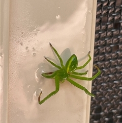 Unverified at suppressed - suppressed