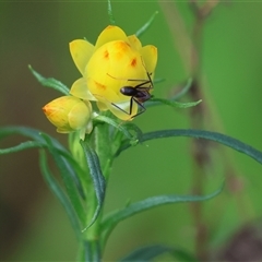 Unverified at suppressed - suppressed