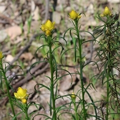 Unverified at suppressed - suppressed