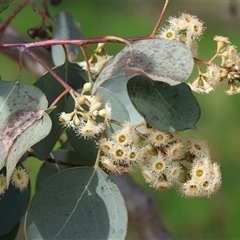 Unverified at suppressed - suppressed