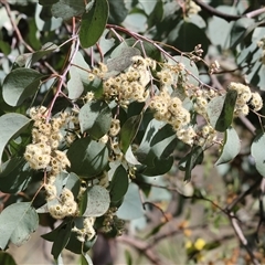 Unverified at suppressed - suppressed