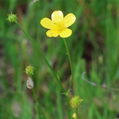 Unverified at suppressed - suppressed