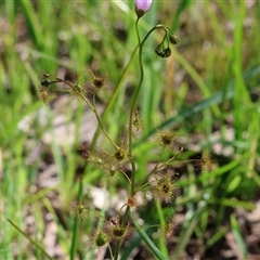 Unverified at suppressed - suppressed