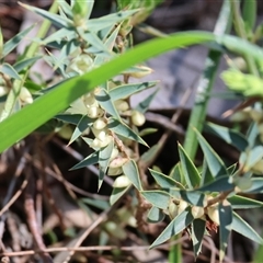 Unverified at suppressed - suppressed