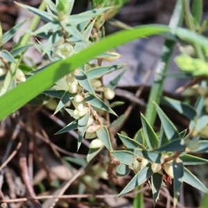 Unverified at suppressed - suppressed