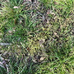 Unverified at suppressed - suppressed