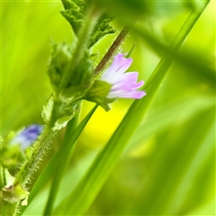 Unverified at suppressed - suppressed