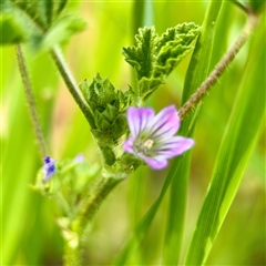 Unverified at suppressed - suppressed