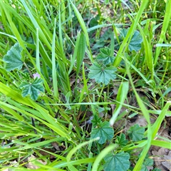 Unverified at suppressed - suppressed