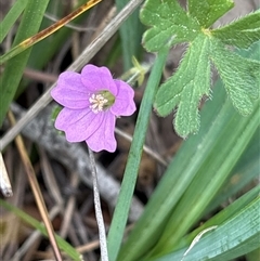 Unverified at suppressed - suppressed