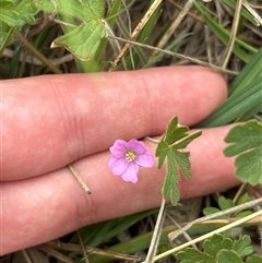 Unverified at suppressed - suppressed