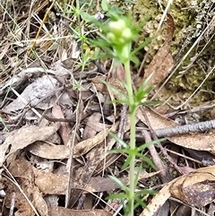 Unverified at suppressed - suppressed