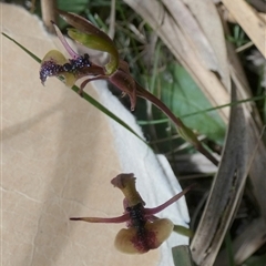 Unverified at suppressed - suppressed