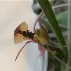 Unverified at suppressed - suppressed