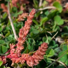 Unverified at suppressed - suppressed