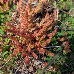 Unverified at suppressed - suppressed