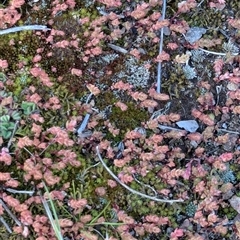 Unverified at suppressed - suppressed