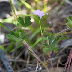 Unverified at suppressed - suppressed