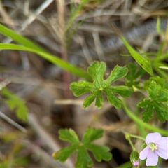 Unverified at suppressed - suppressed